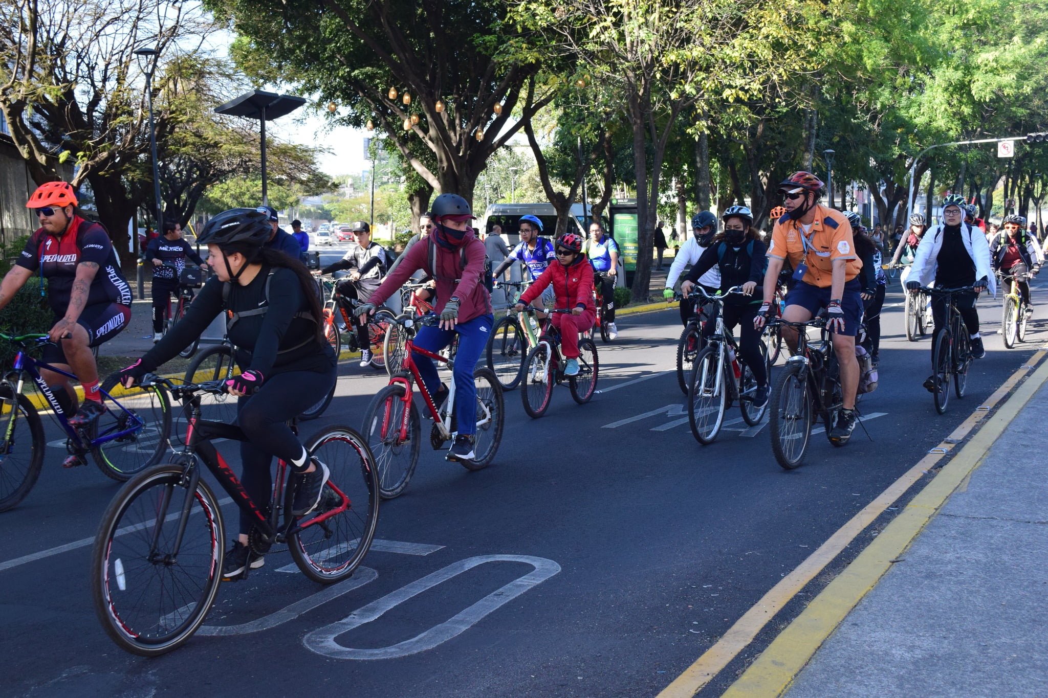 ciclovias un avance o nudo para la ciudad