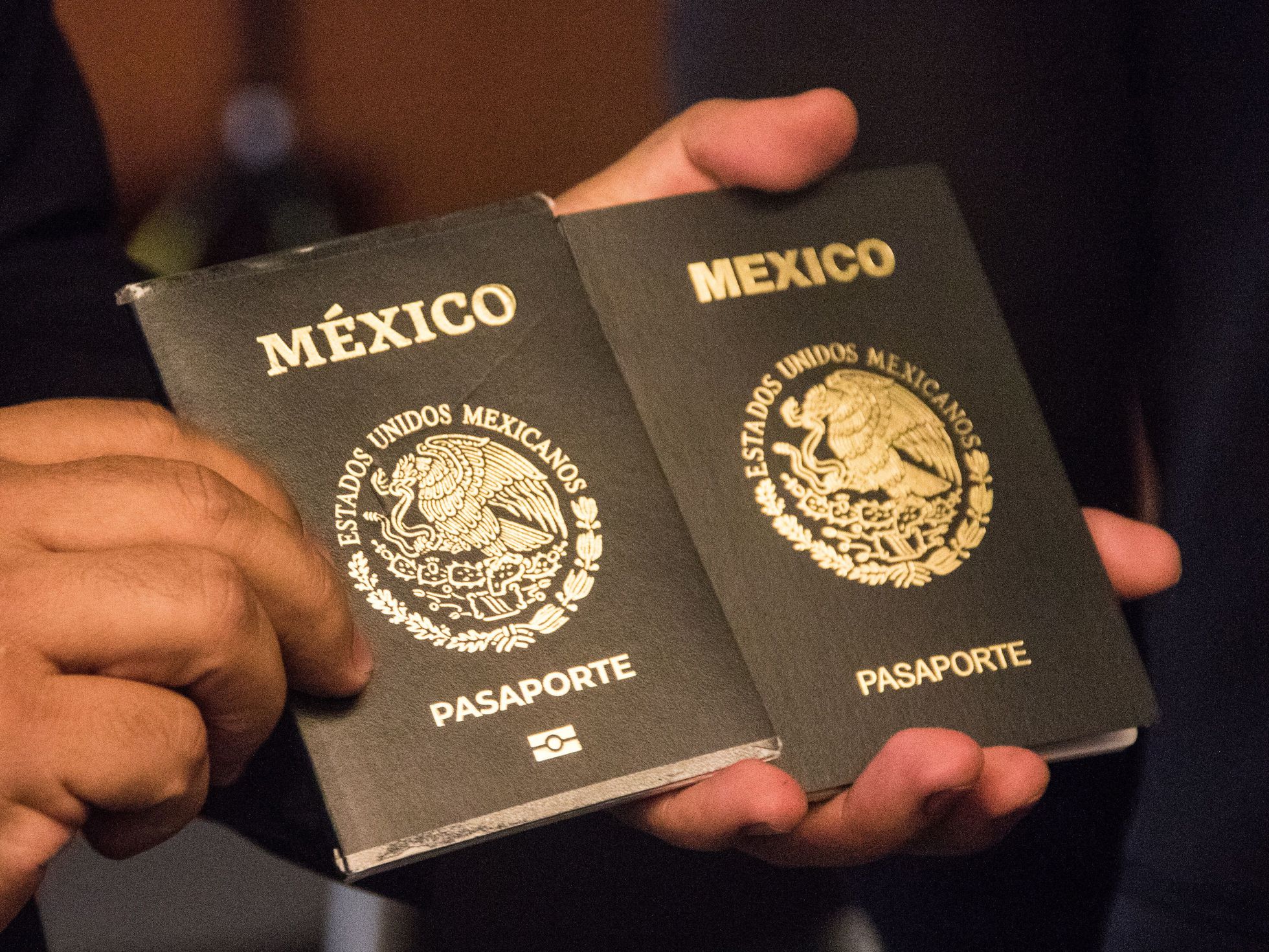 pasaporte mexicano