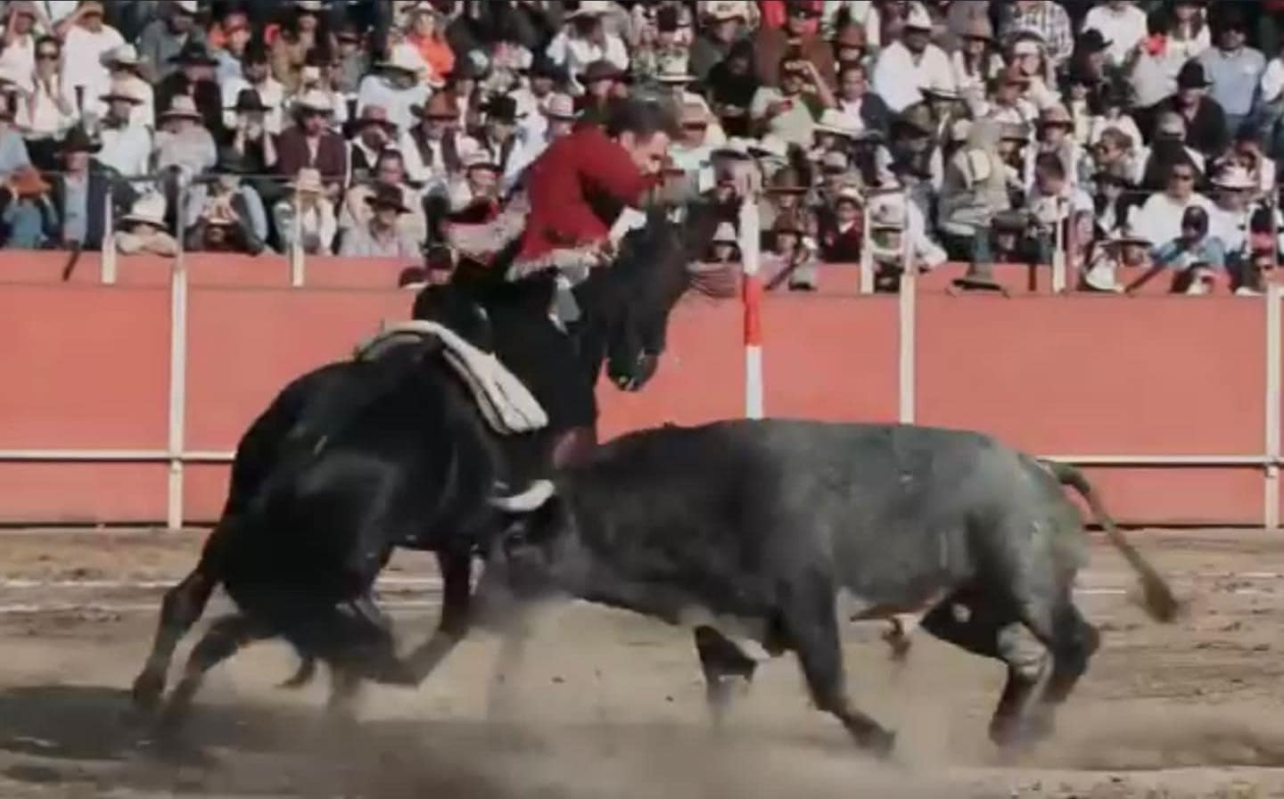 fiesta brava corrida de toros suspension Guadalajara