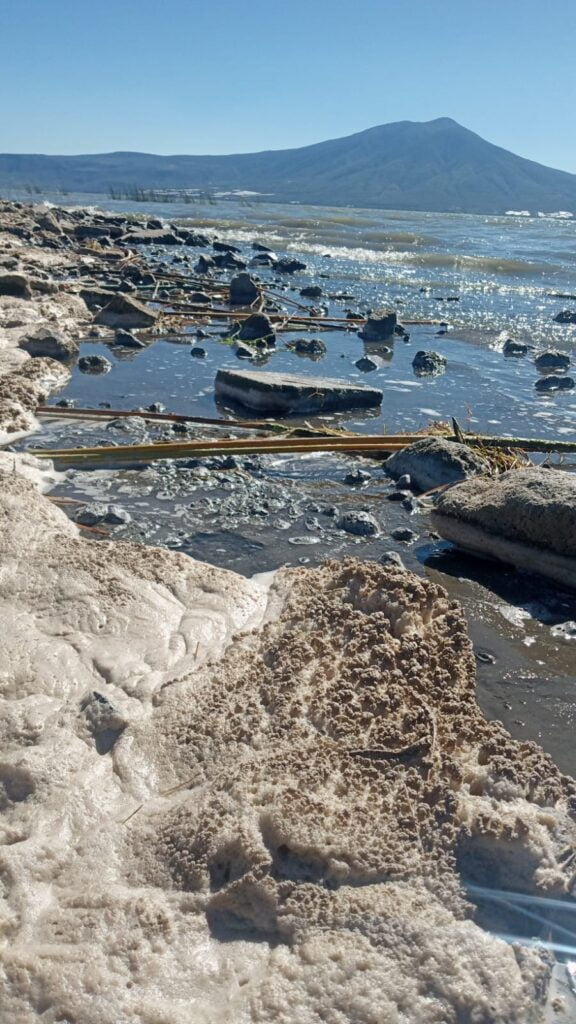 Chapala Contaminación de industrias