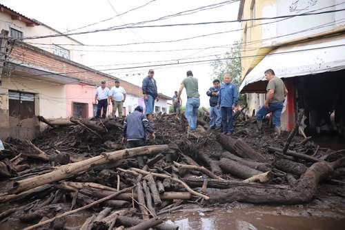 tala clandestina para cultivar aguacate provoca desbordamiento río