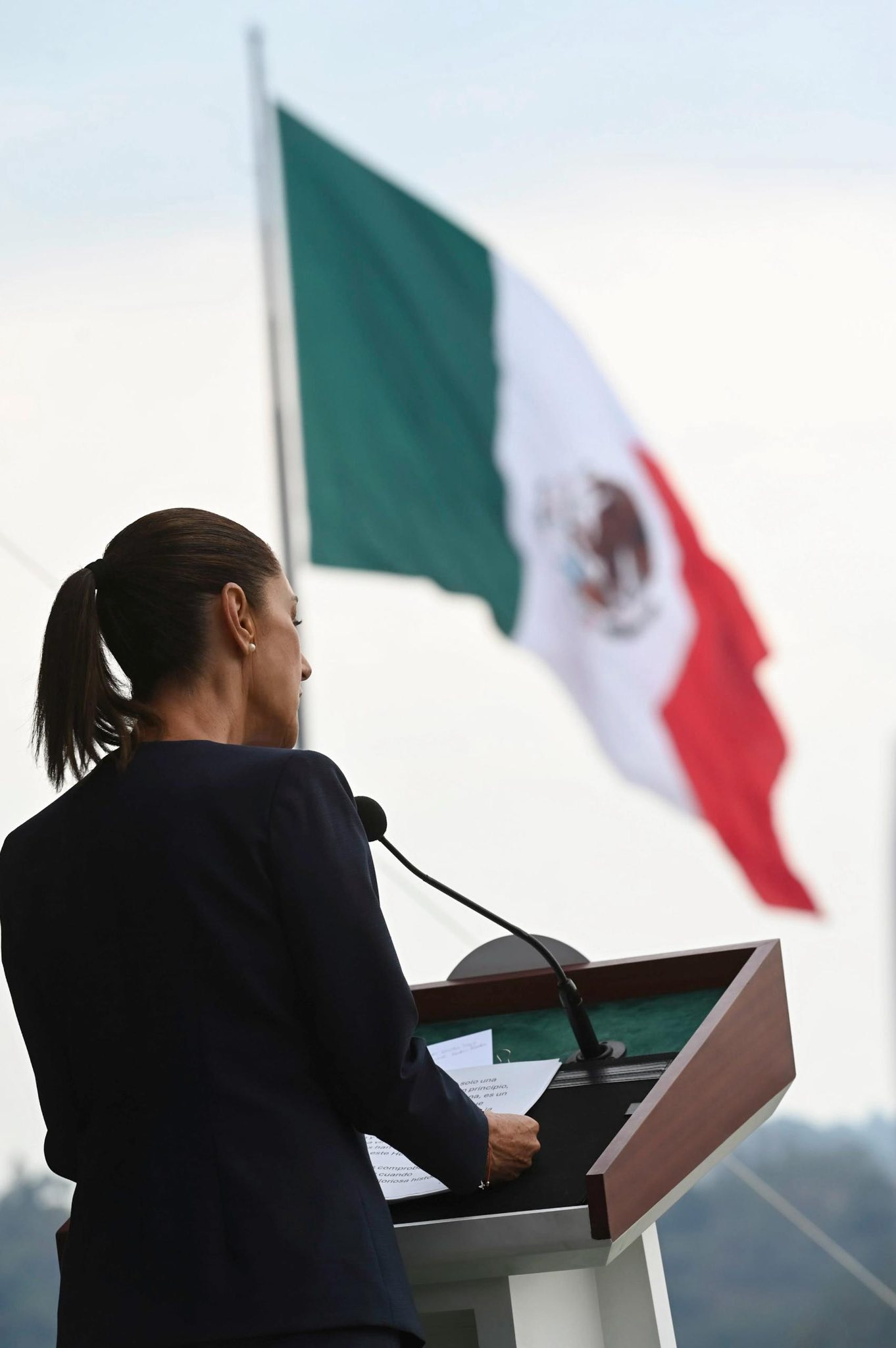 gobierno federal mexicano bajo presión interna y externa Poder judicial