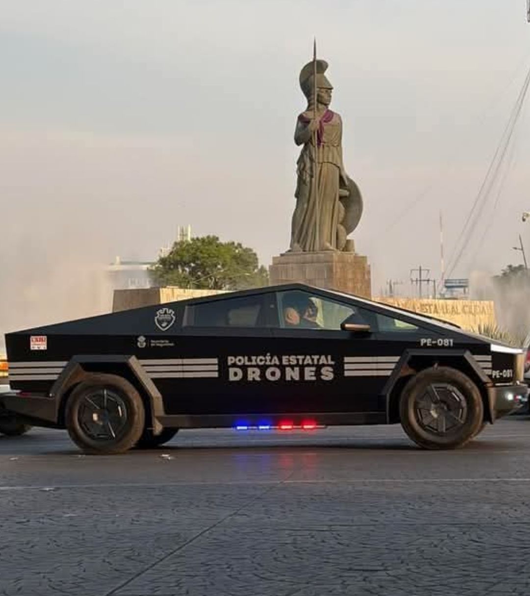 seguridad publica gobierno federal y estatal