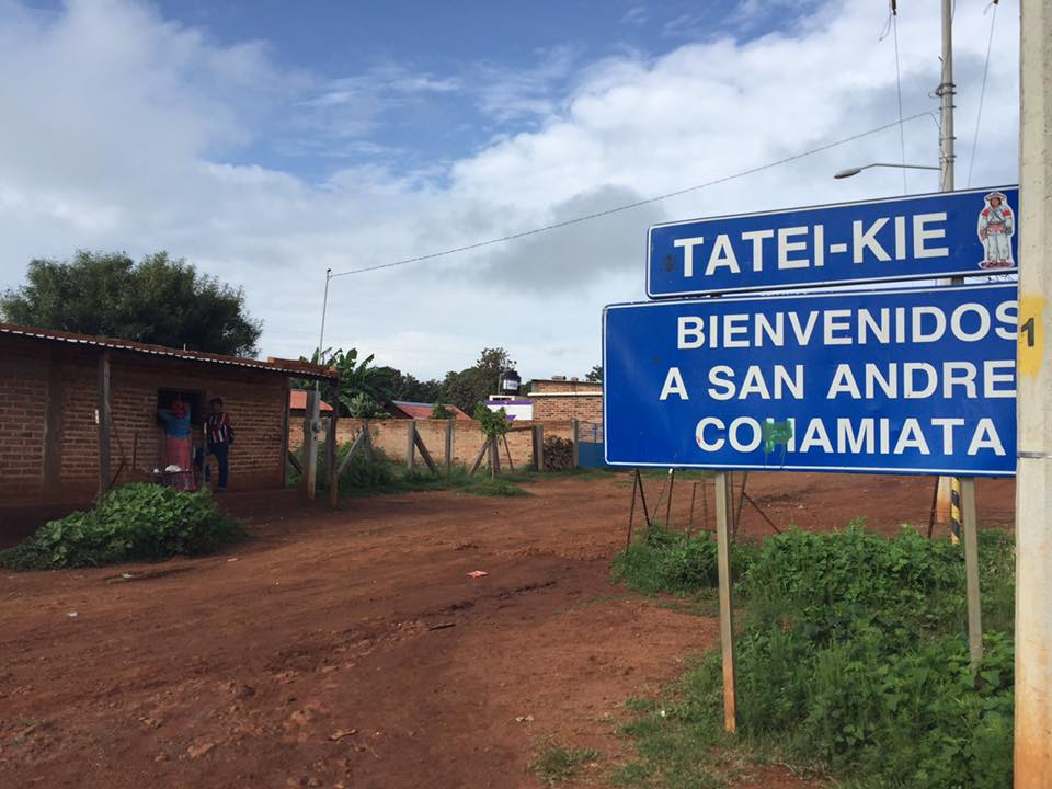 el camino a wirikuta, hoja de ruta