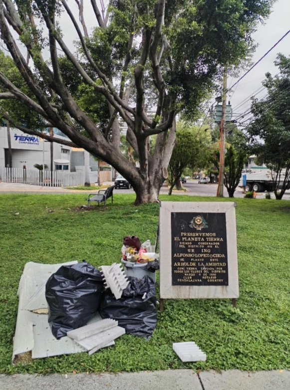 segurida publica