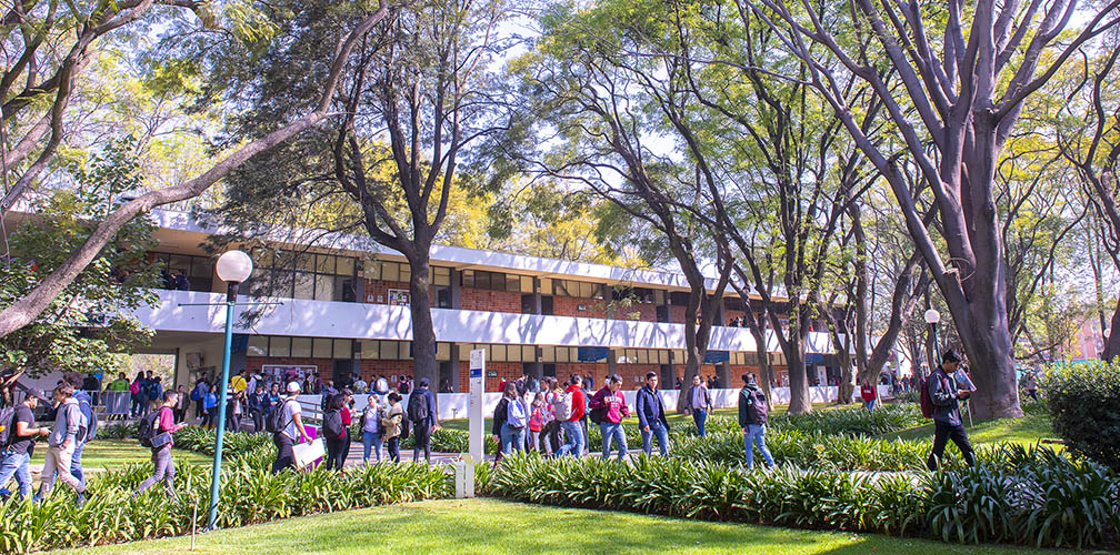iteso y tec de monterrey